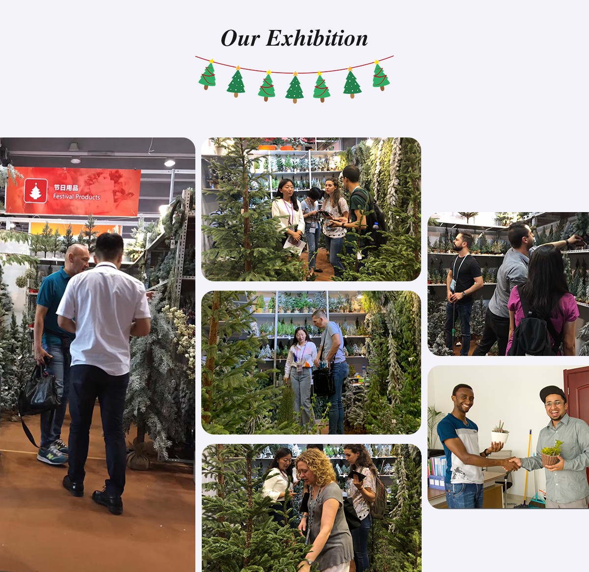 Выставка Рождественской королевы