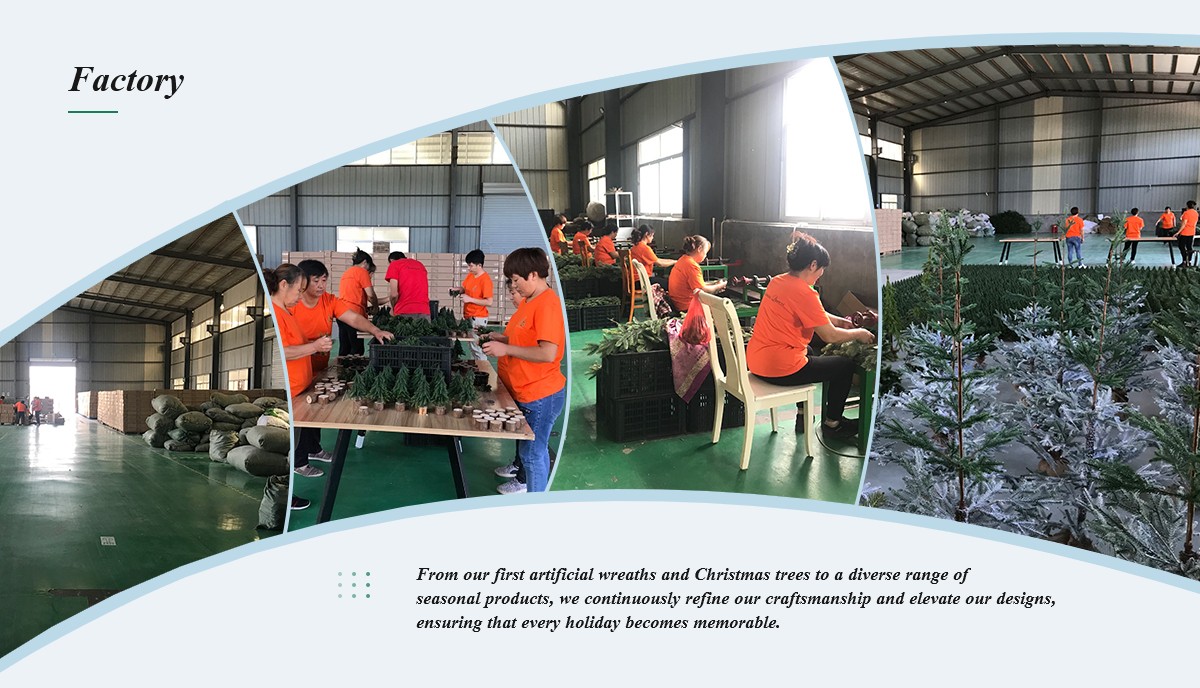 Christmas Queen Factory Christmas Queen Factory