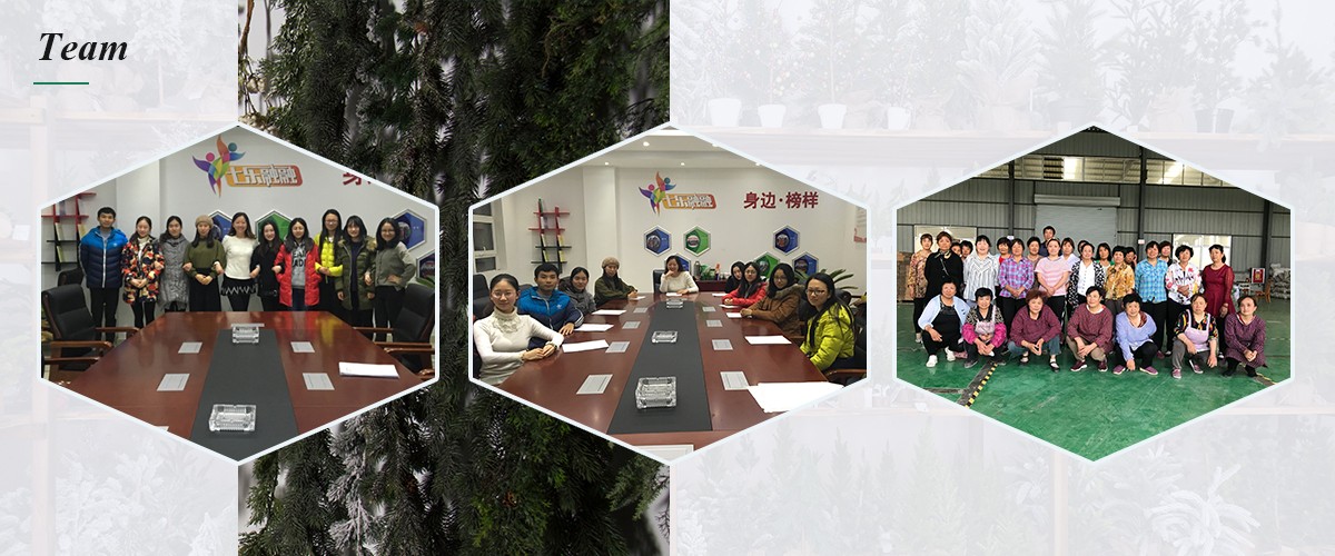 Christmas Queen Team Christmas Queen Team