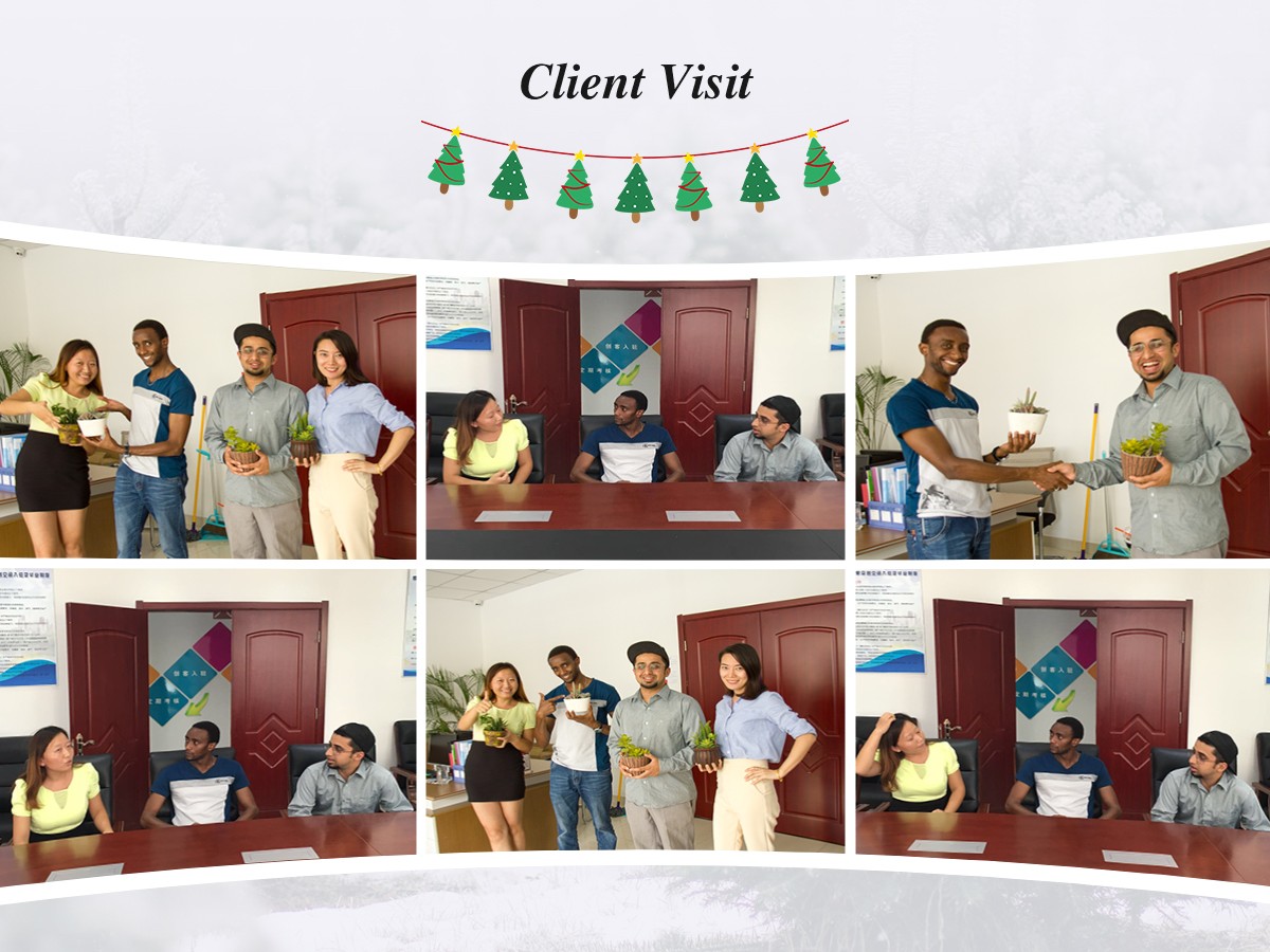 Визит Рождественской королевы к клиенту