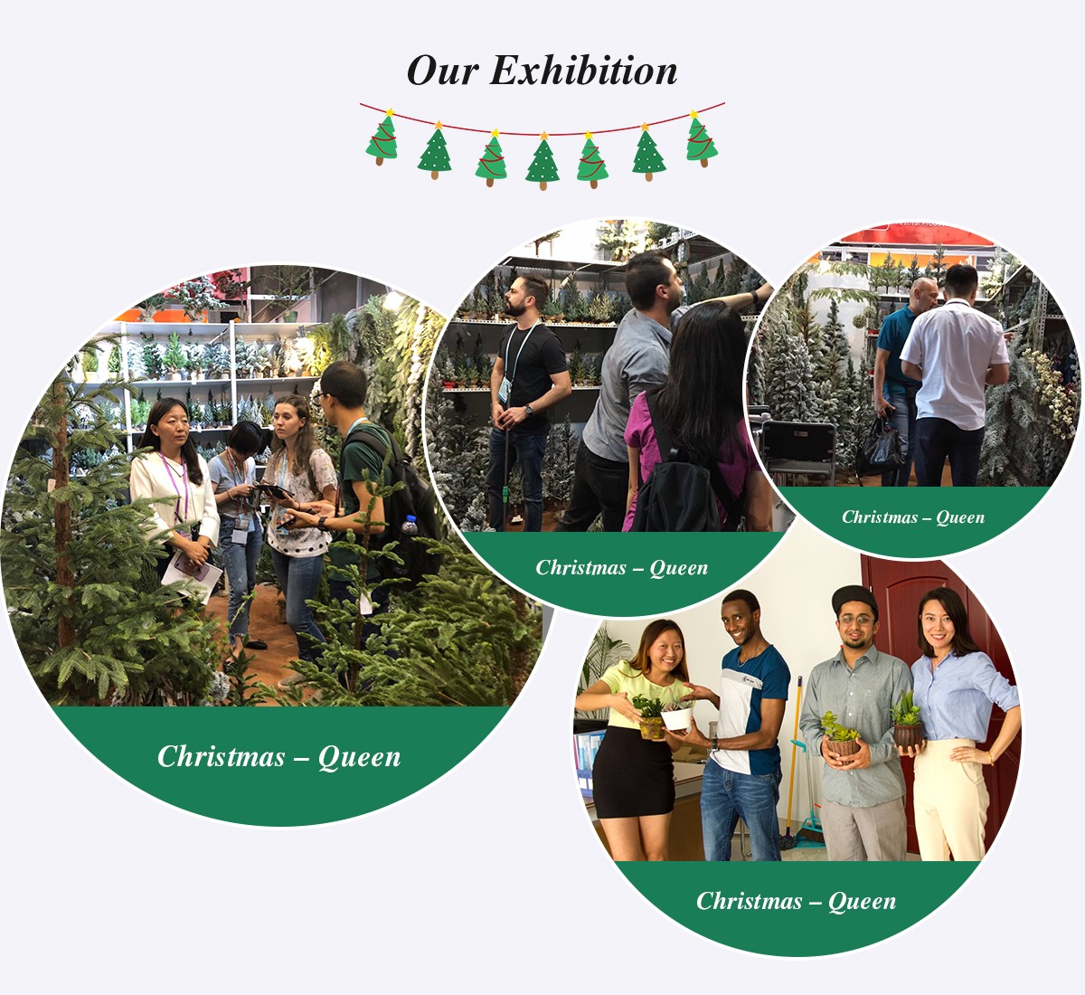 Выставка Рождественской королевы